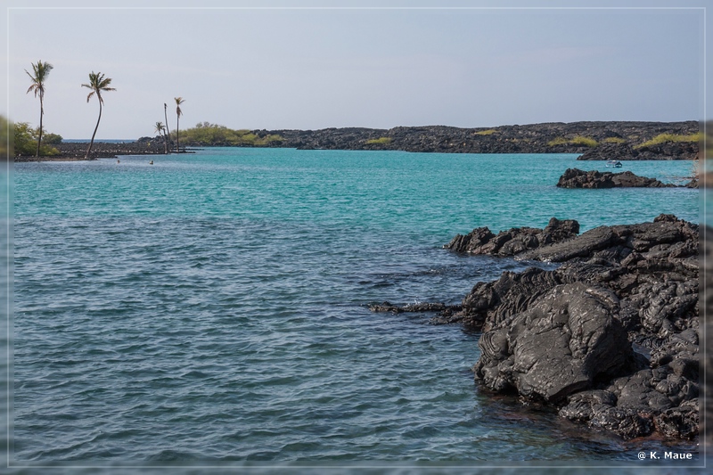 USA_2016_0864.jpg