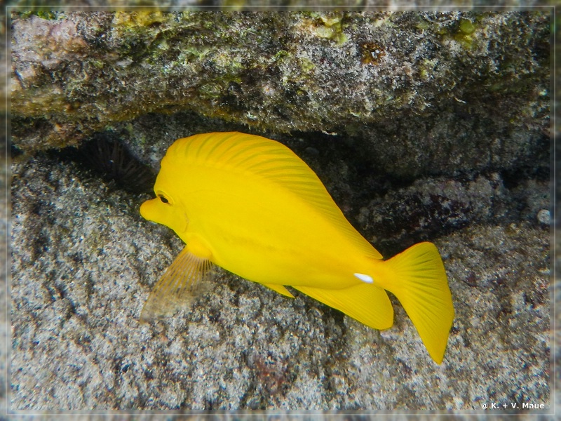 USA_2016_0871.jpg
