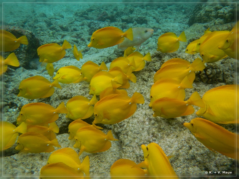 USA_2016_0883.jpg