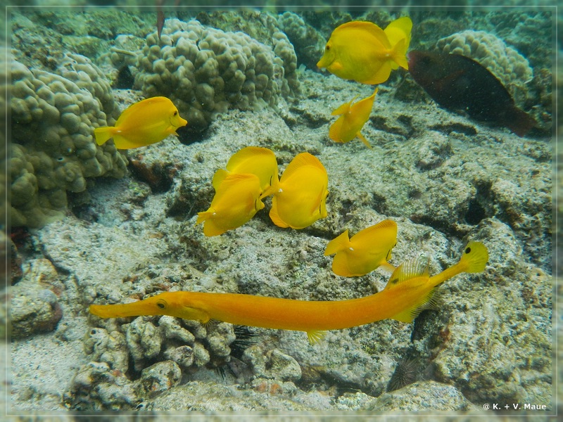 USA_2016_0884.jpg