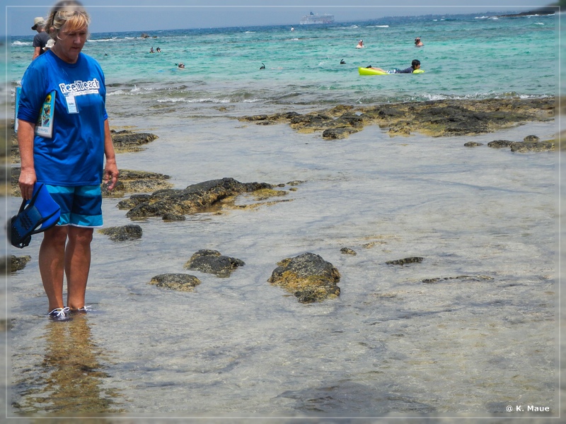 USA_2016_0890.jpg