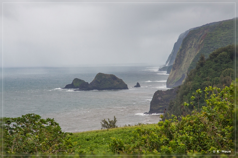 USA_2016_0958.jpg