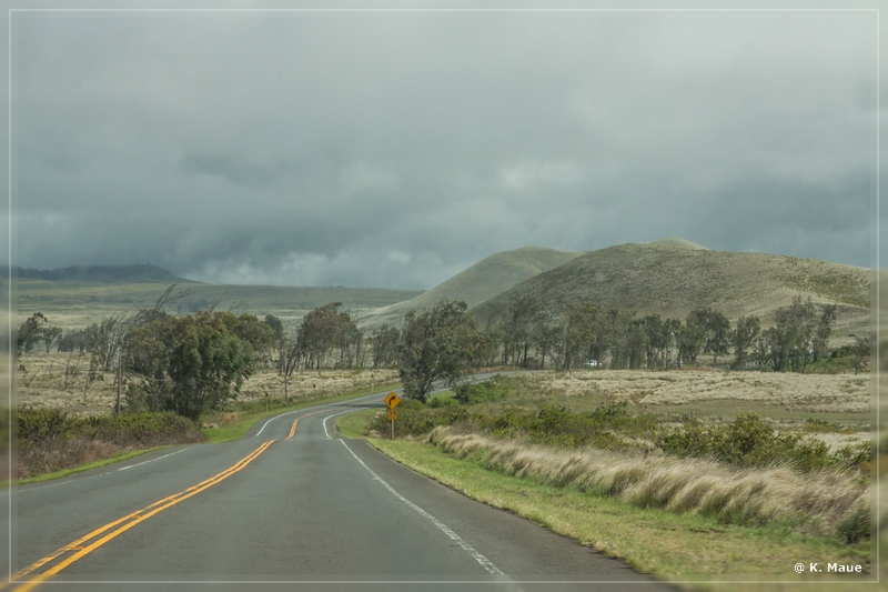 USA_2016_0967.jpg