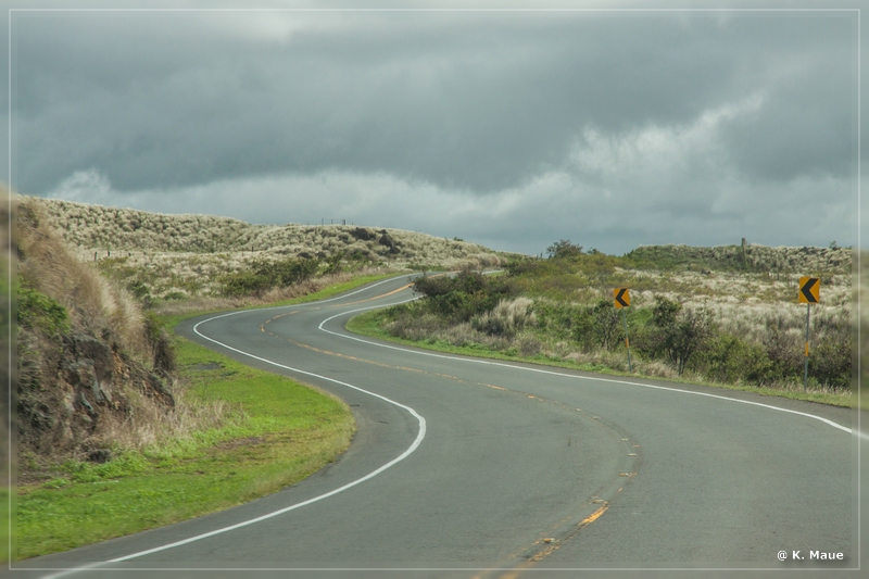 USA_2016_0968.jpg