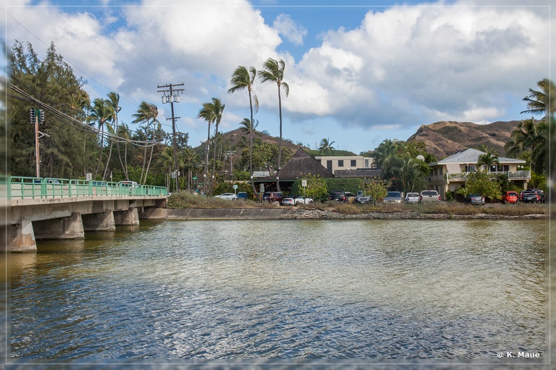 USA_2016_0439.jpg