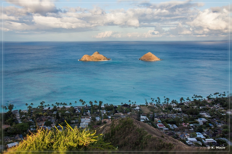 USA_2016_0454.jpg