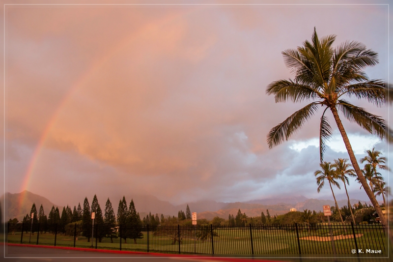 USA_2016_0459.jpg