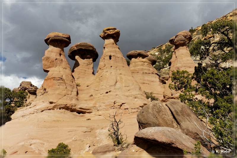 USA_2017_0600.jpg