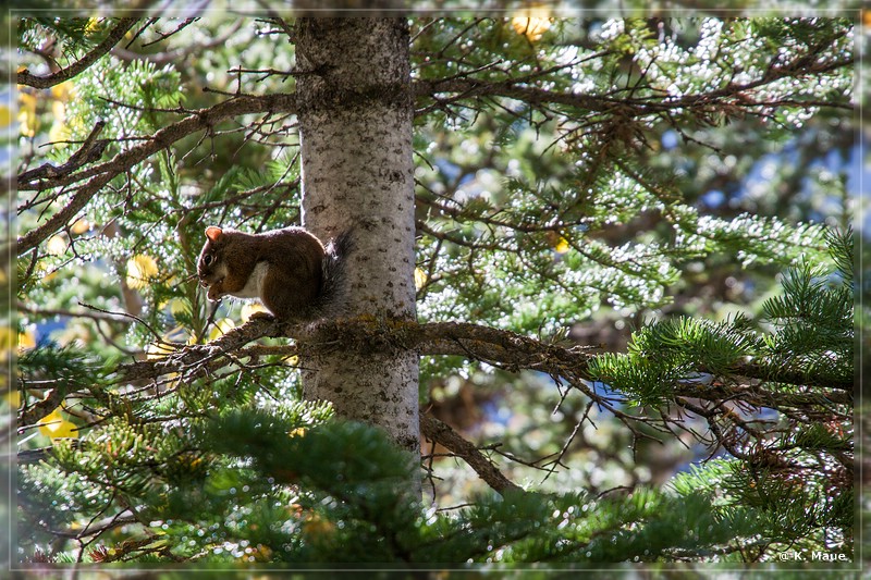 USA_2017_0082.jpg