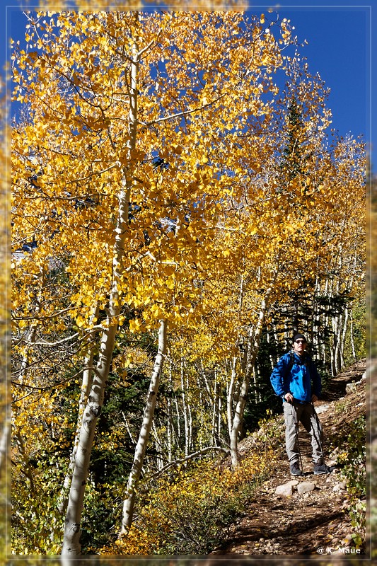 USA_2017_0083.jpg