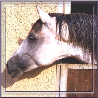 Rancho Rayo de Sol