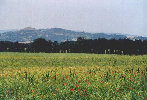 Tuscany Landscape