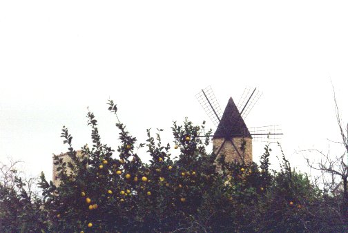 Windmill