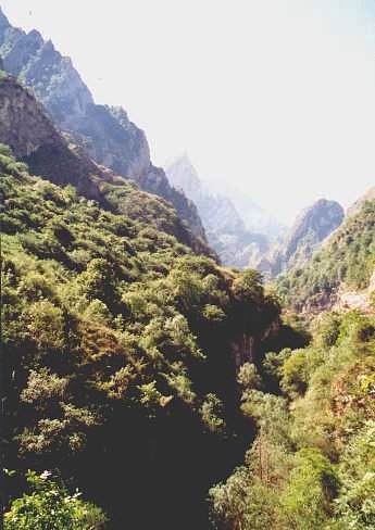 Picos de Europa