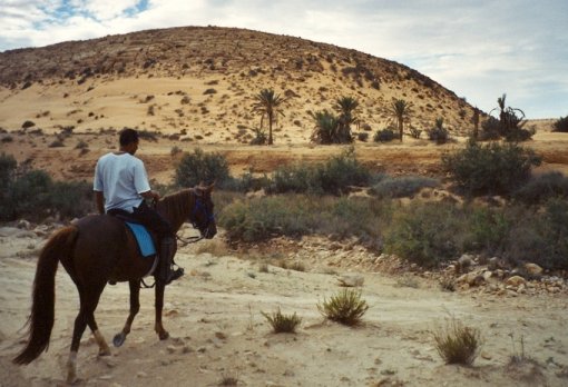 Riding through the desert
