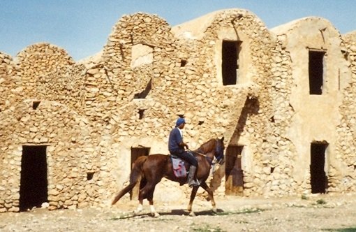 Hedi at Ksar El Ferch