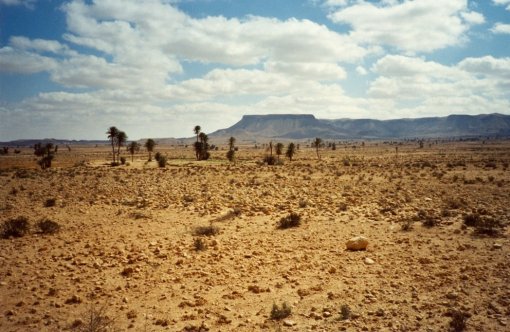 Desert landscape with table mountains