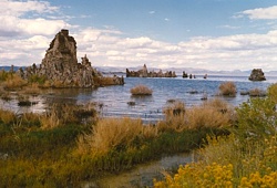 Mono Lake