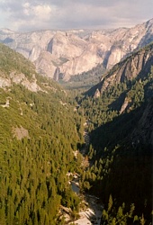 Yosemite NP