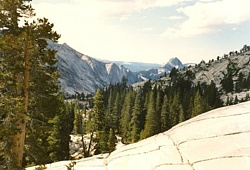 Yosemite NP