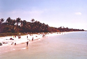 Naples Beach