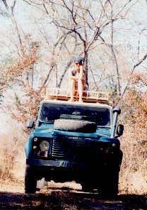 Sophie on top of the jeep